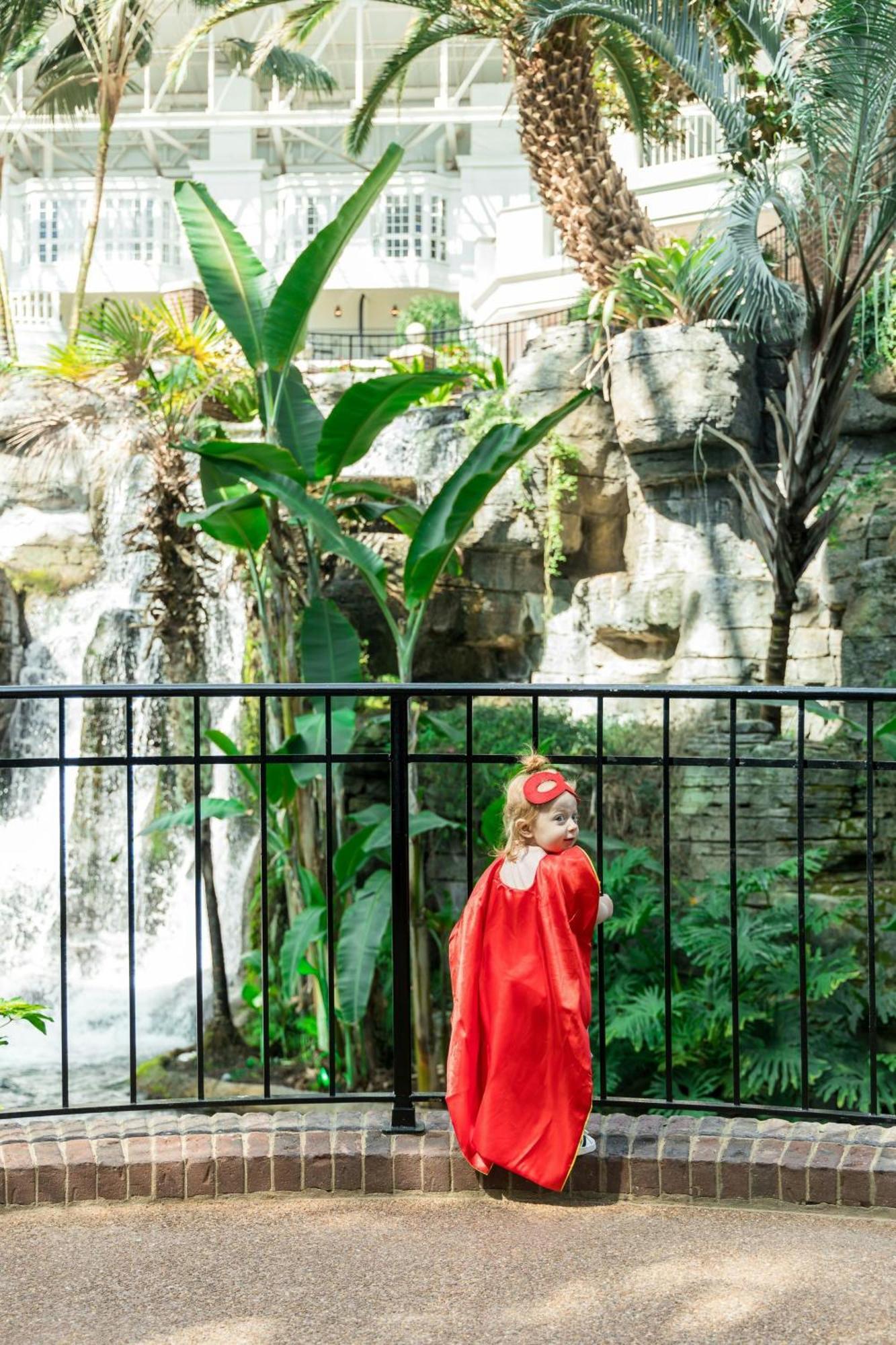 Resort Gaylord Opryland & Convention Center
